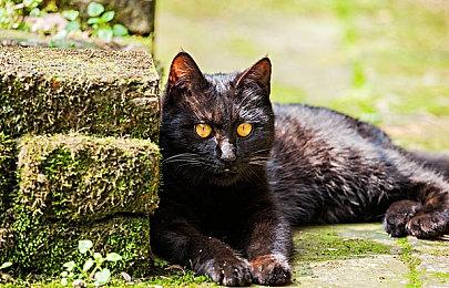 《战神：诸神黄昏》周边商品曝光 或透露游戏9月＆10月发售